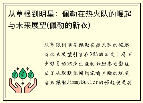 从草根到明星：佩勒在热火队的崛起与未来展望(佩勒的新衣)