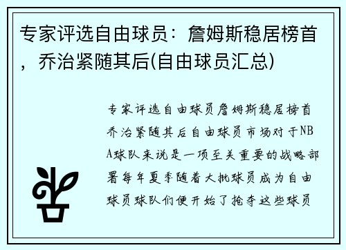 专家评选自由球员：詹姆斯稳居榜首，乔治紧随其后(自由球员汇总)