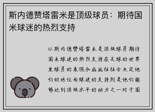 斯内德赞塔雷米是顶级球员:期待国米球迷的热烈支持